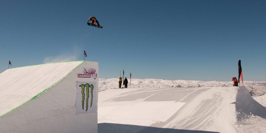 STEF-ZEESTRATEN-HALFPIPE-HEDONIST