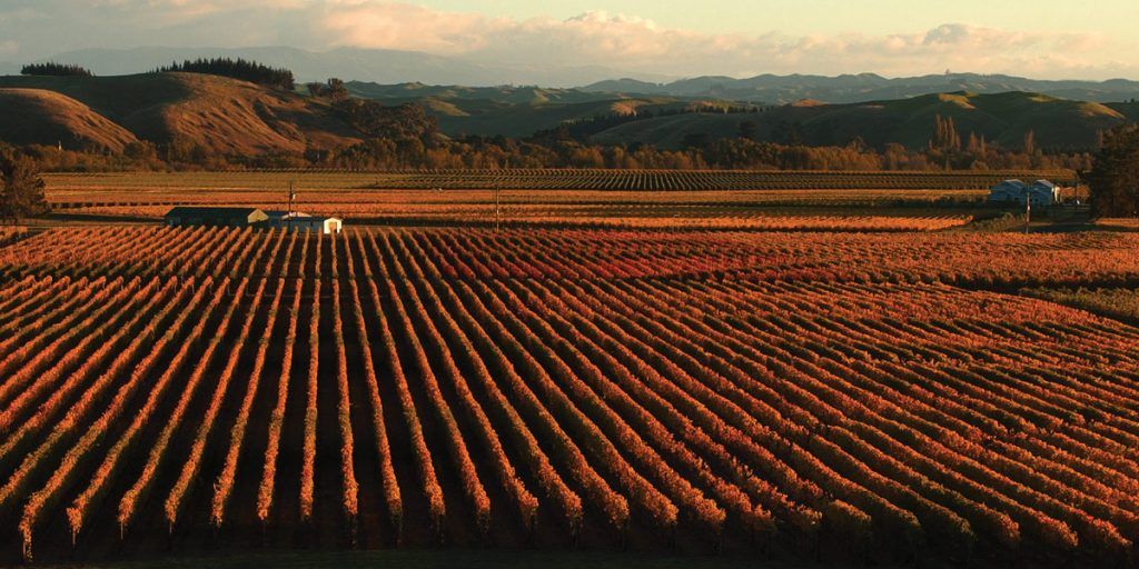 Winery-trinity-hills