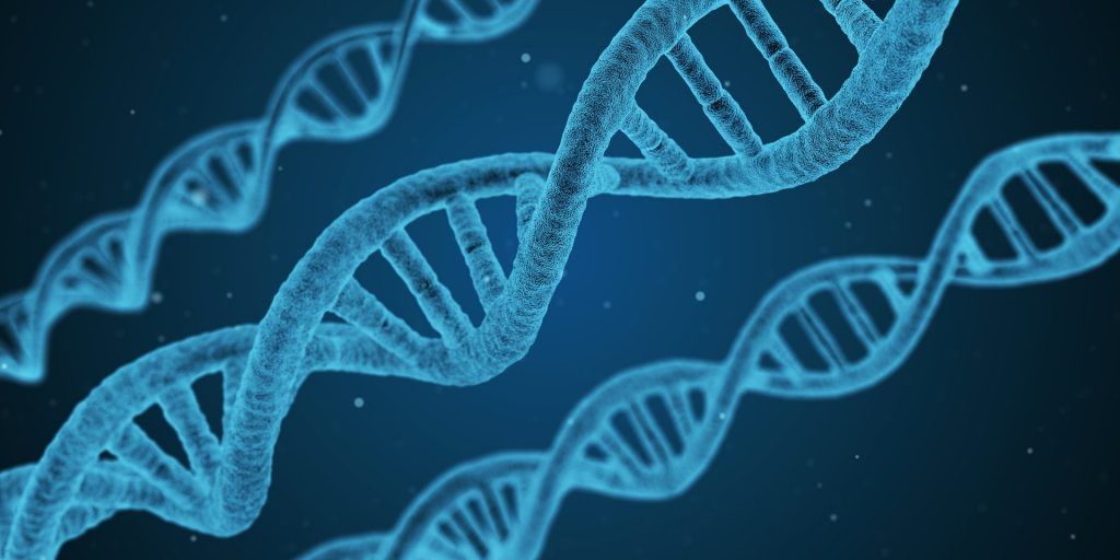 dna M2 Magazine