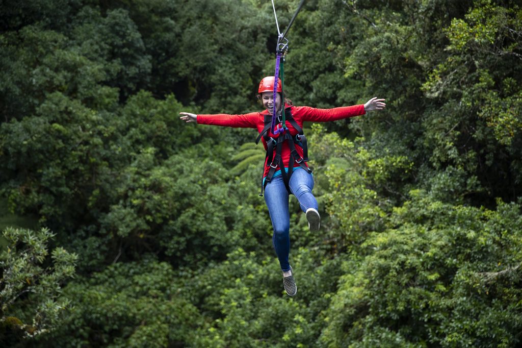 Rotorua Canopy Tours: Thrills From Above