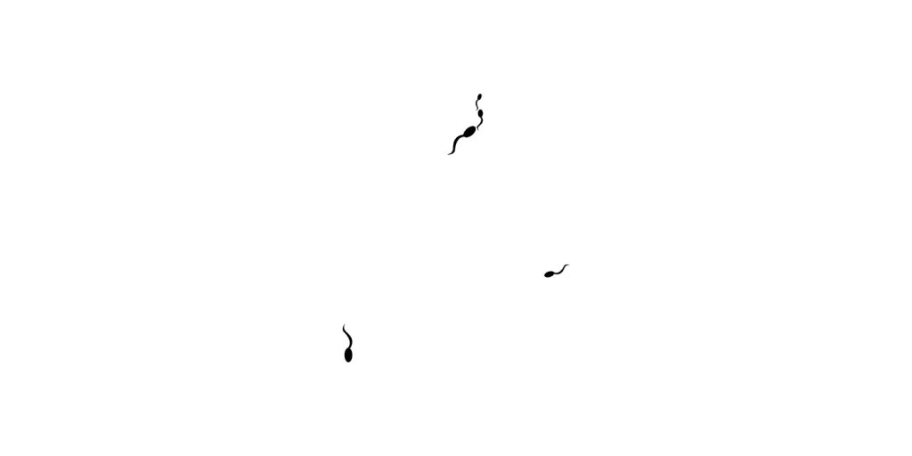 Untitled 1